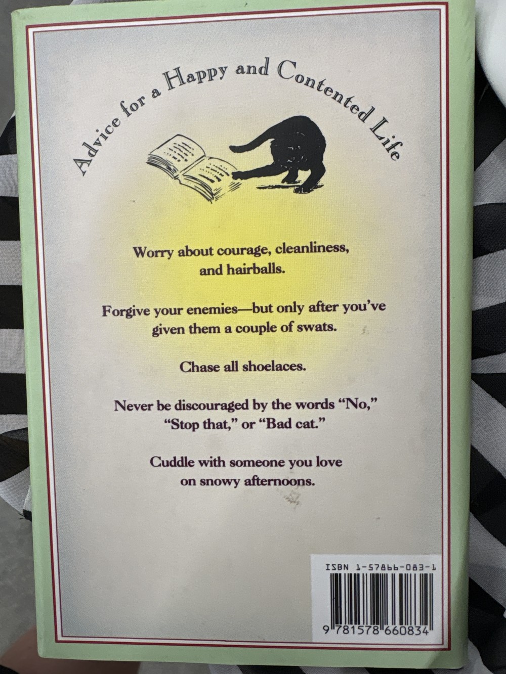 A Cats Little Destruction Book