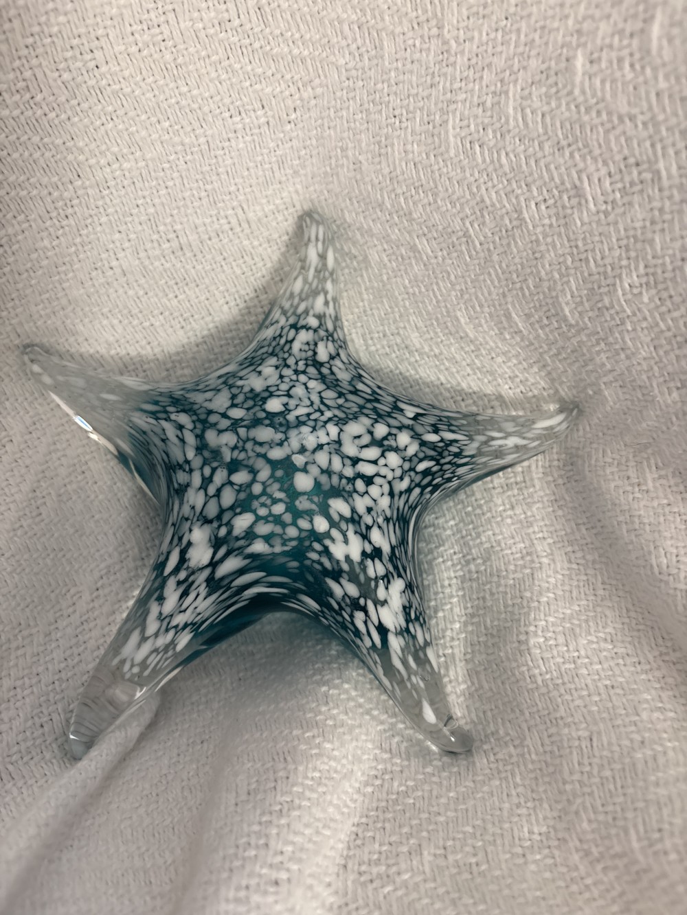 Glass Starfish