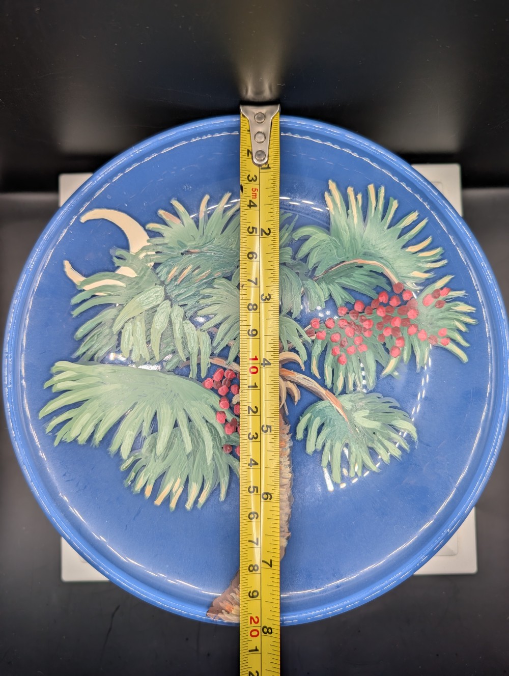 Vtg hand-painted South Carolina souvenir plate, signed by artist