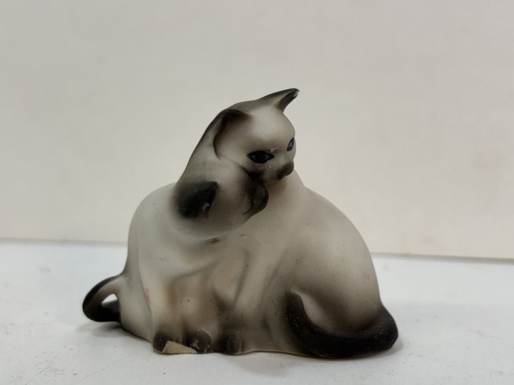 George Good Siamese cat cuddling pair