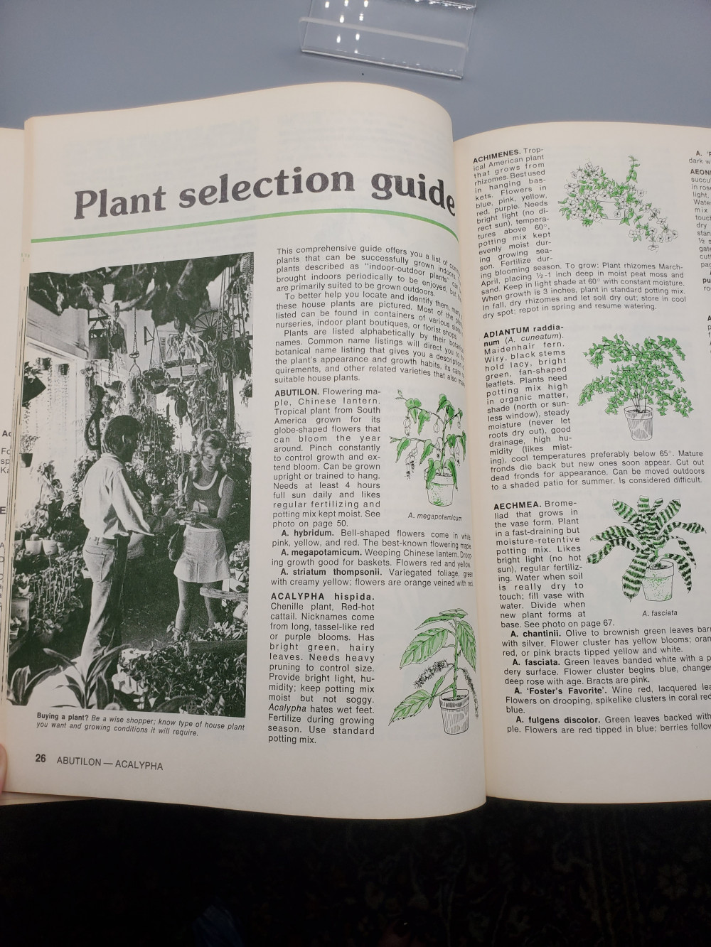 How to Grow House Plants Eighth Printing 1982
