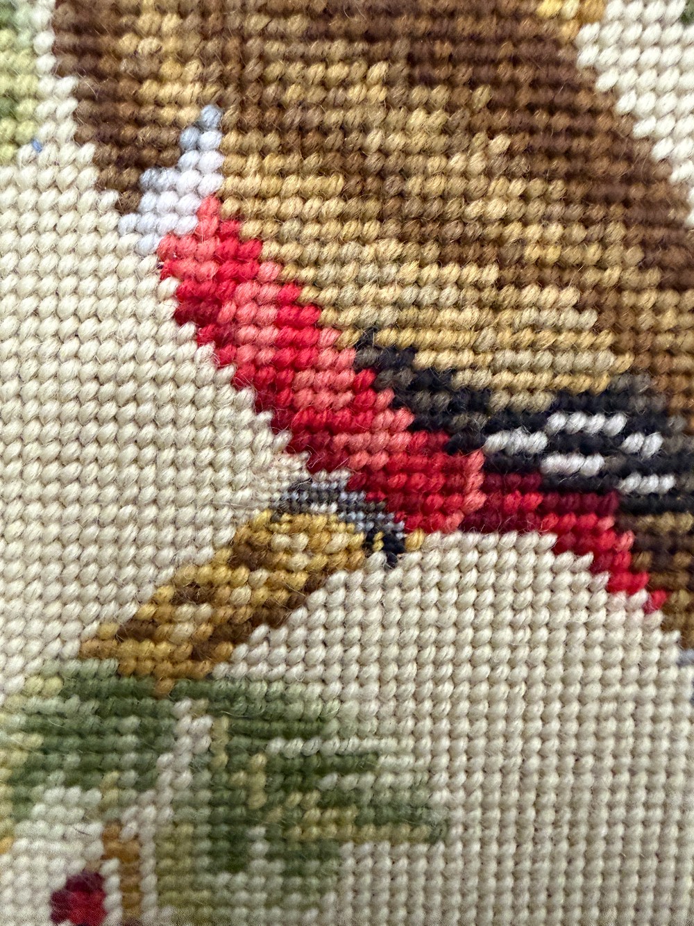 Vintage Mid-Century Framed Bird Needlepoint Artwork – Combined Gros Point & Petit Point Trogons Fine Textile