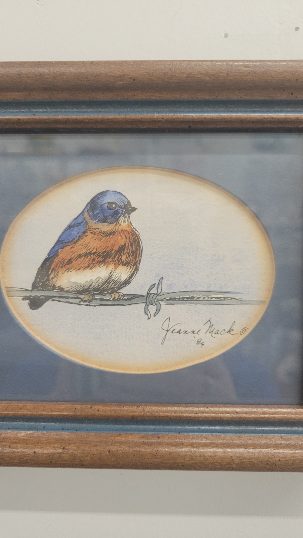 Eastern Bluebird on Barbed Wire - Signed