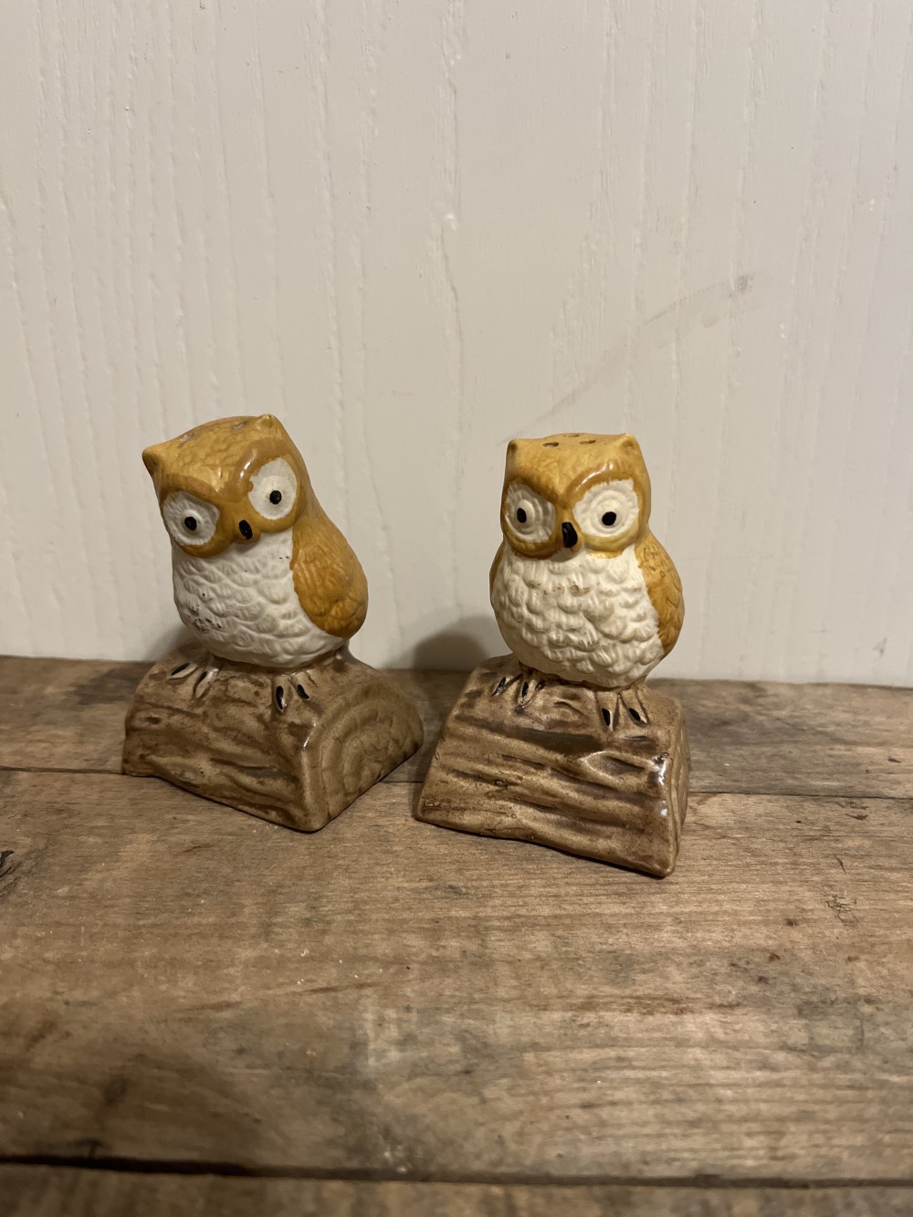 Vtg Owl on Log S&P shakers