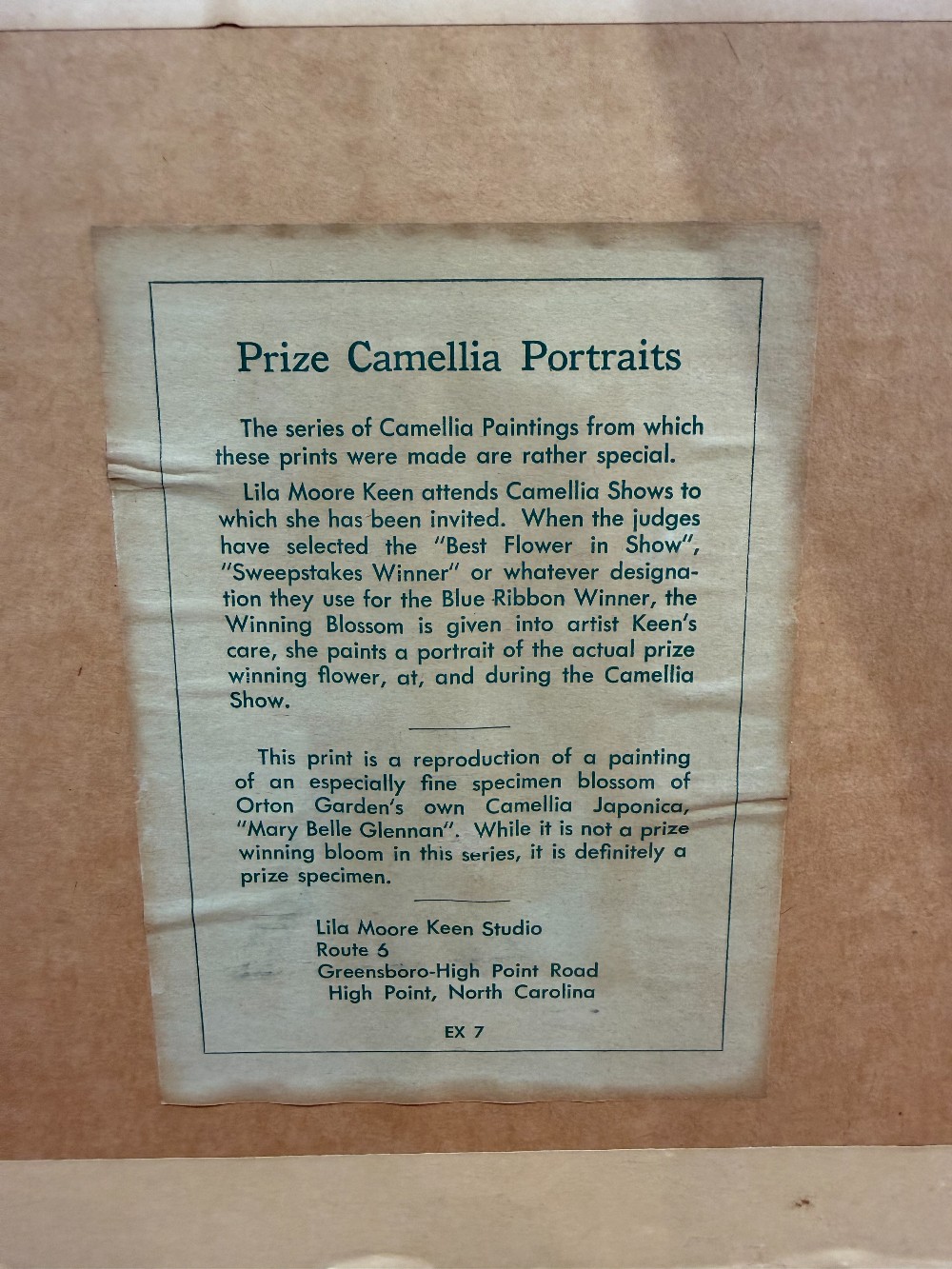 Vtg. Framed Lila Moore Keen Camellia Botanical Print