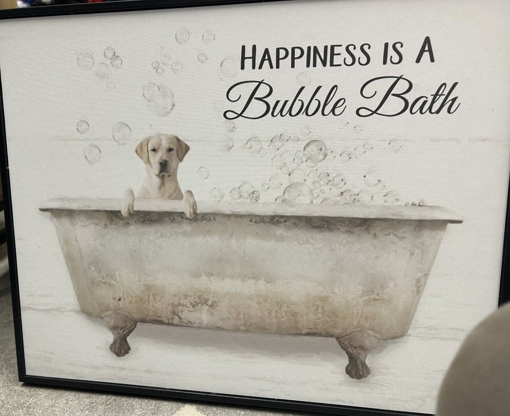 Happiness is a Bubble Bath Picture (approx 16”)