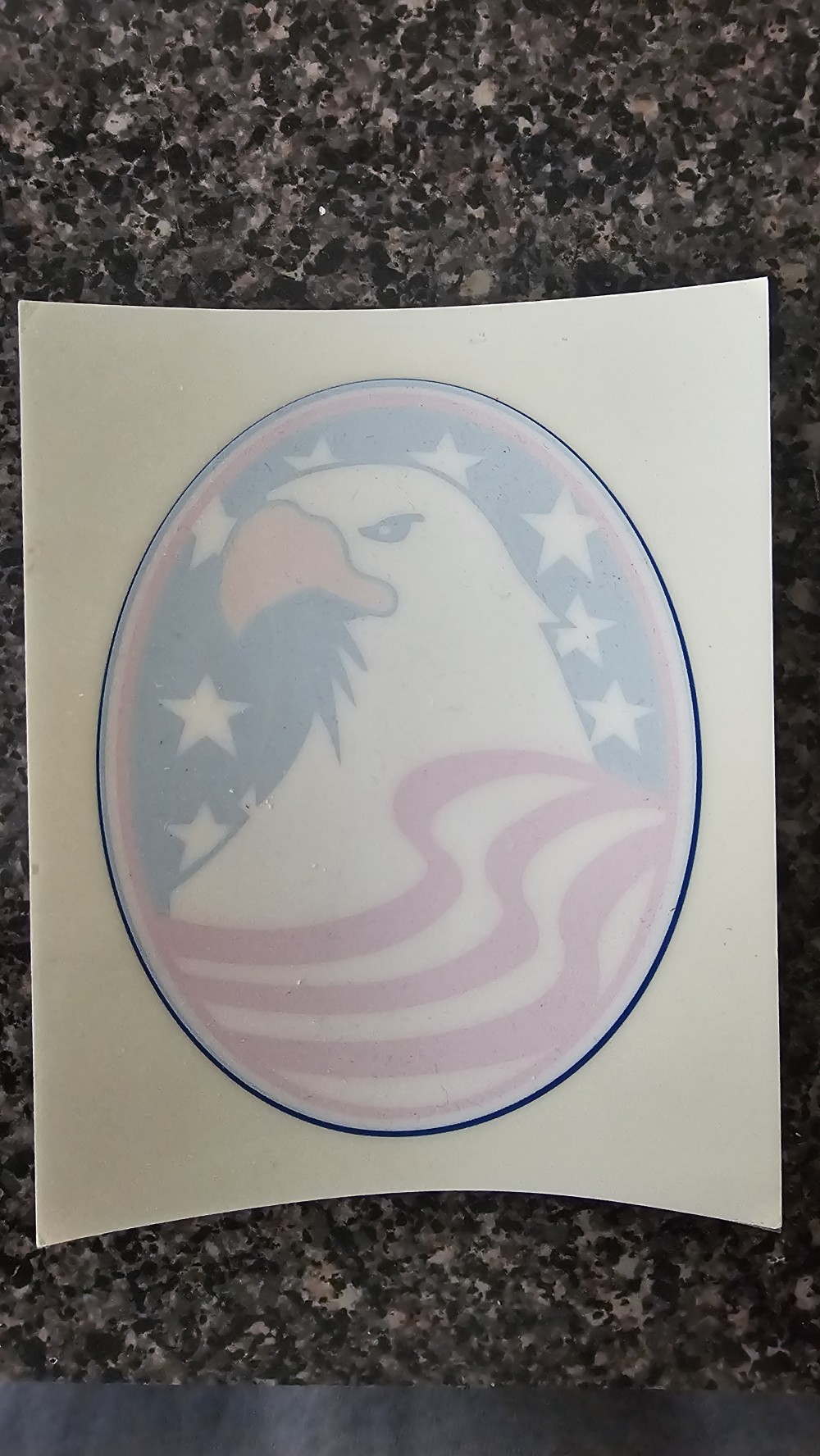 Eagle window cling