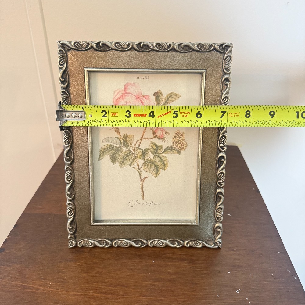 Silver Scroll Frame with Botanical Rose Print