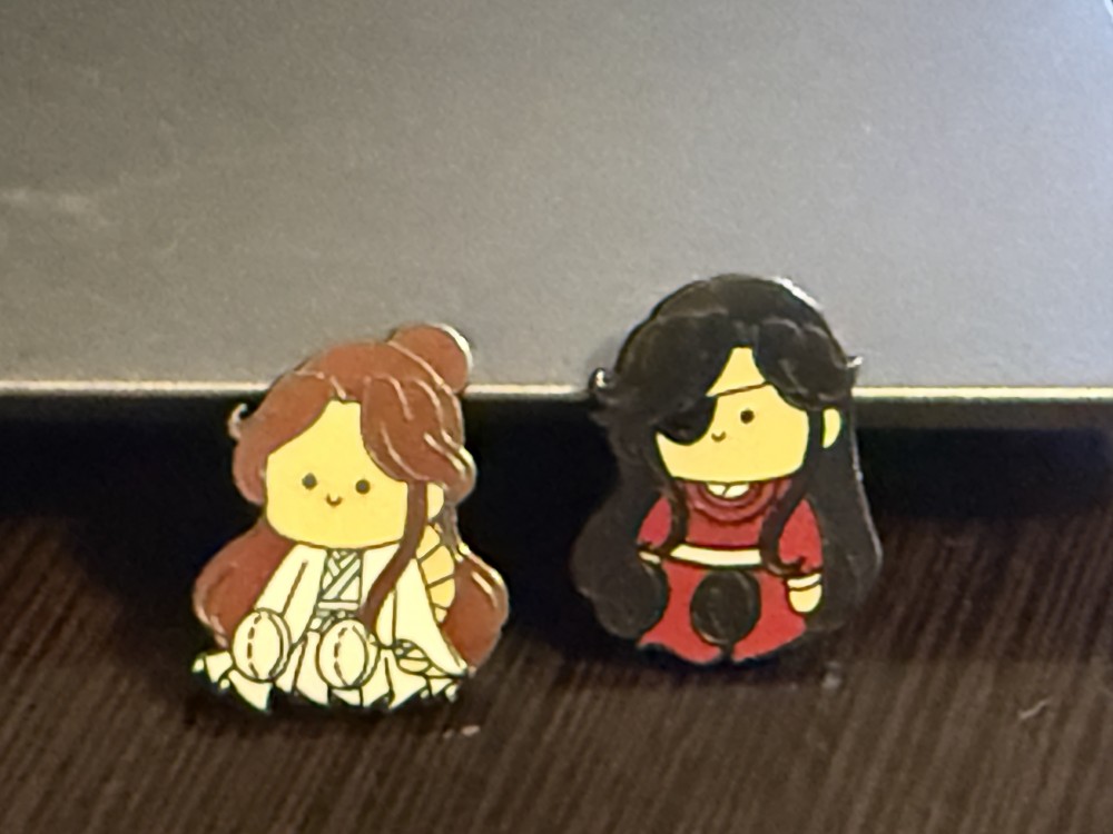 Xie Lian • Hua Cheng MXTX | TGFC Hualian, Kawaii Chibi Enamel Pin Kawaii Pin