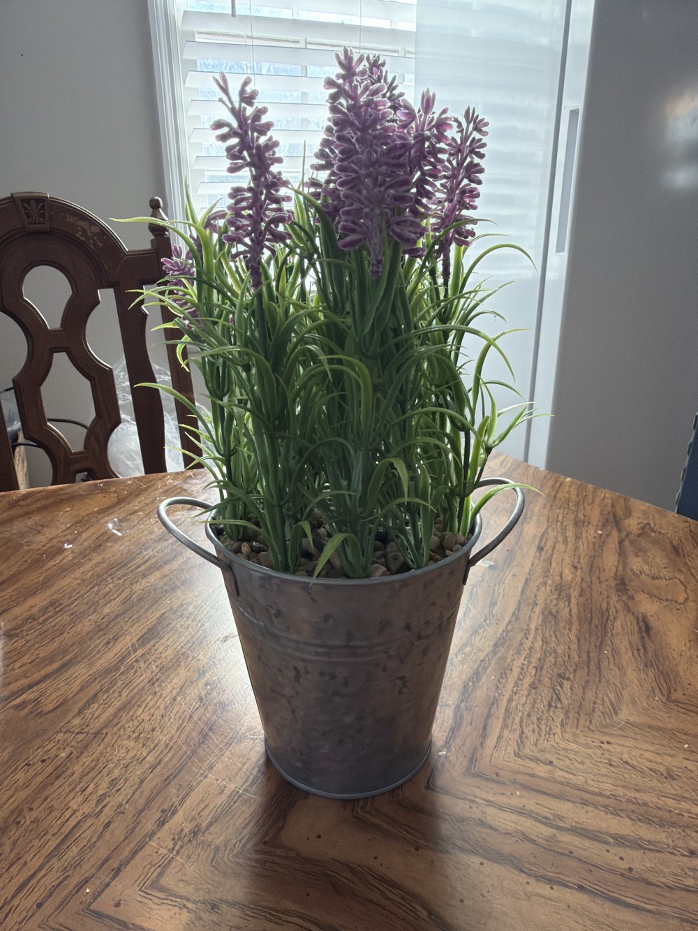 Plant in a rustic metal bucket. (AS-IS)
