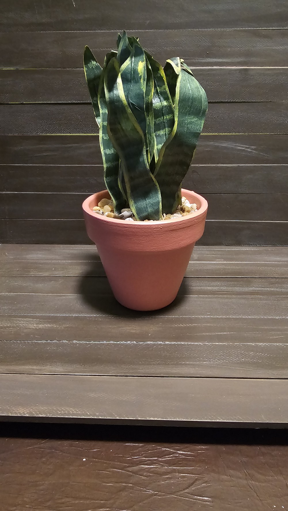 Lrg faux snake plant