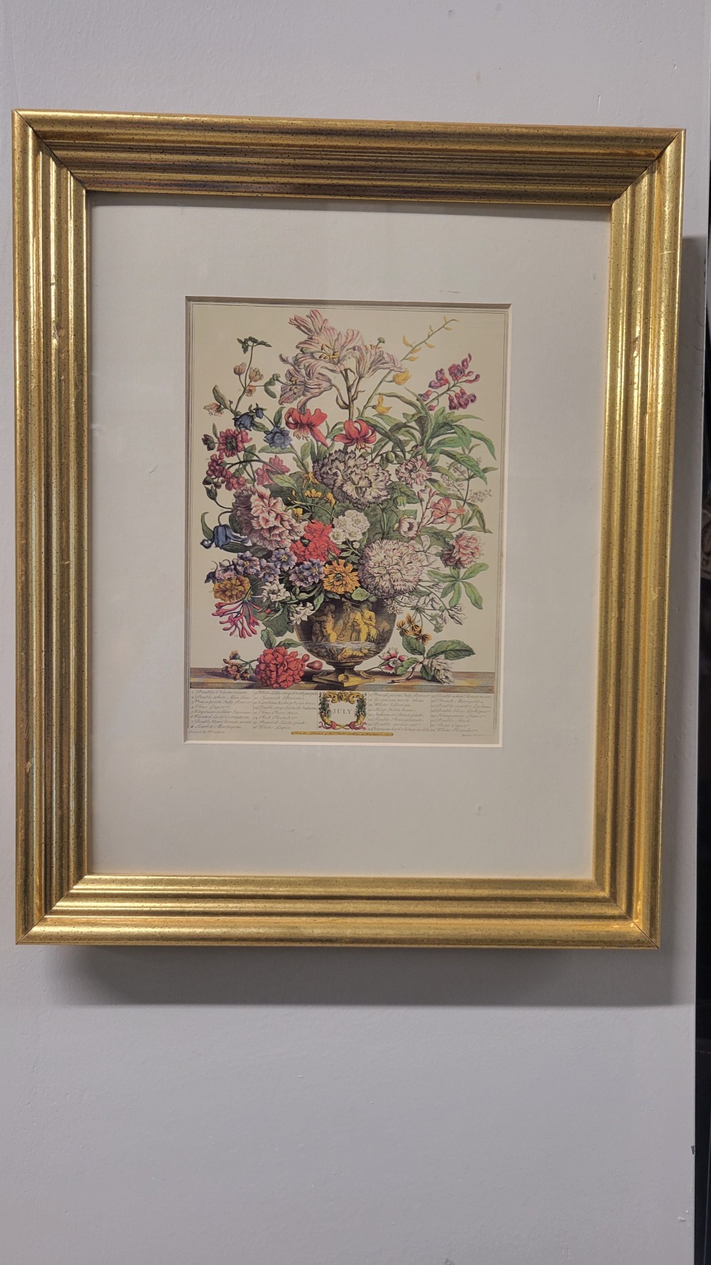 July - Framed Botanical Print
