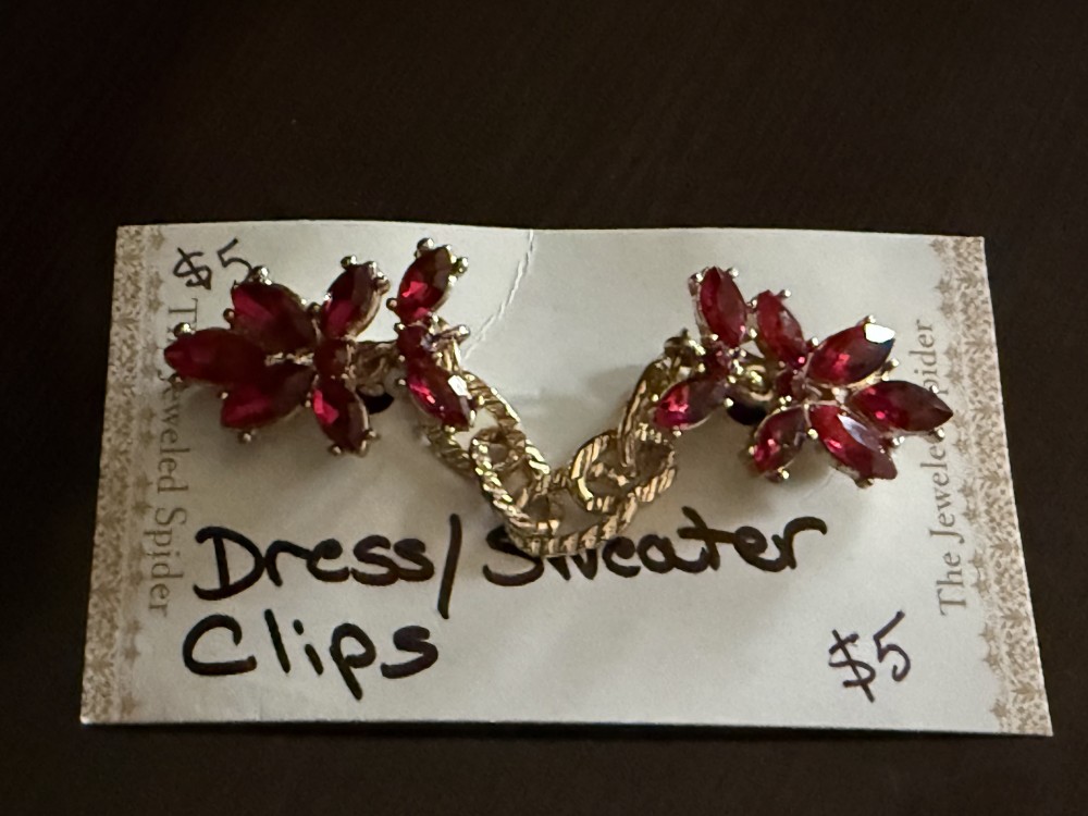 Sweater Clips - Red Stones Gold Chain