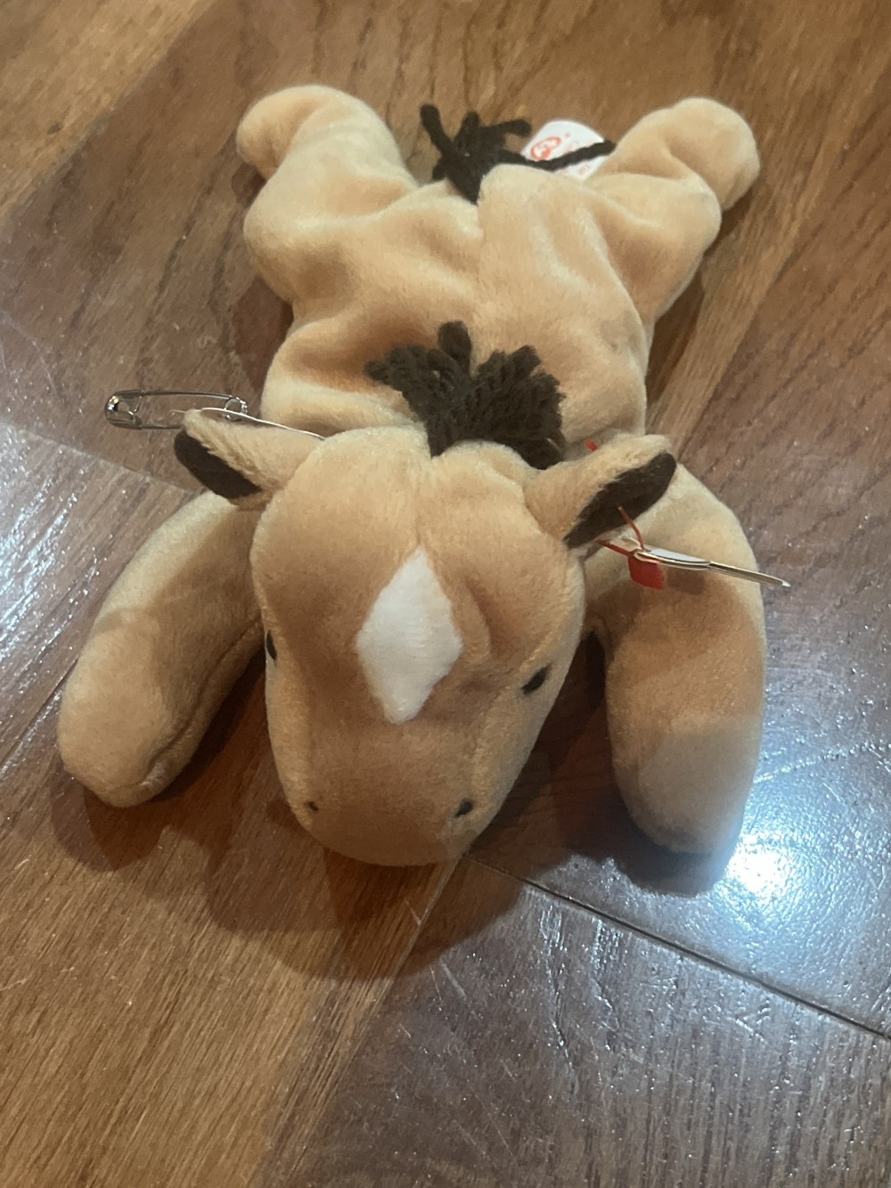 Derby Beanie Baby