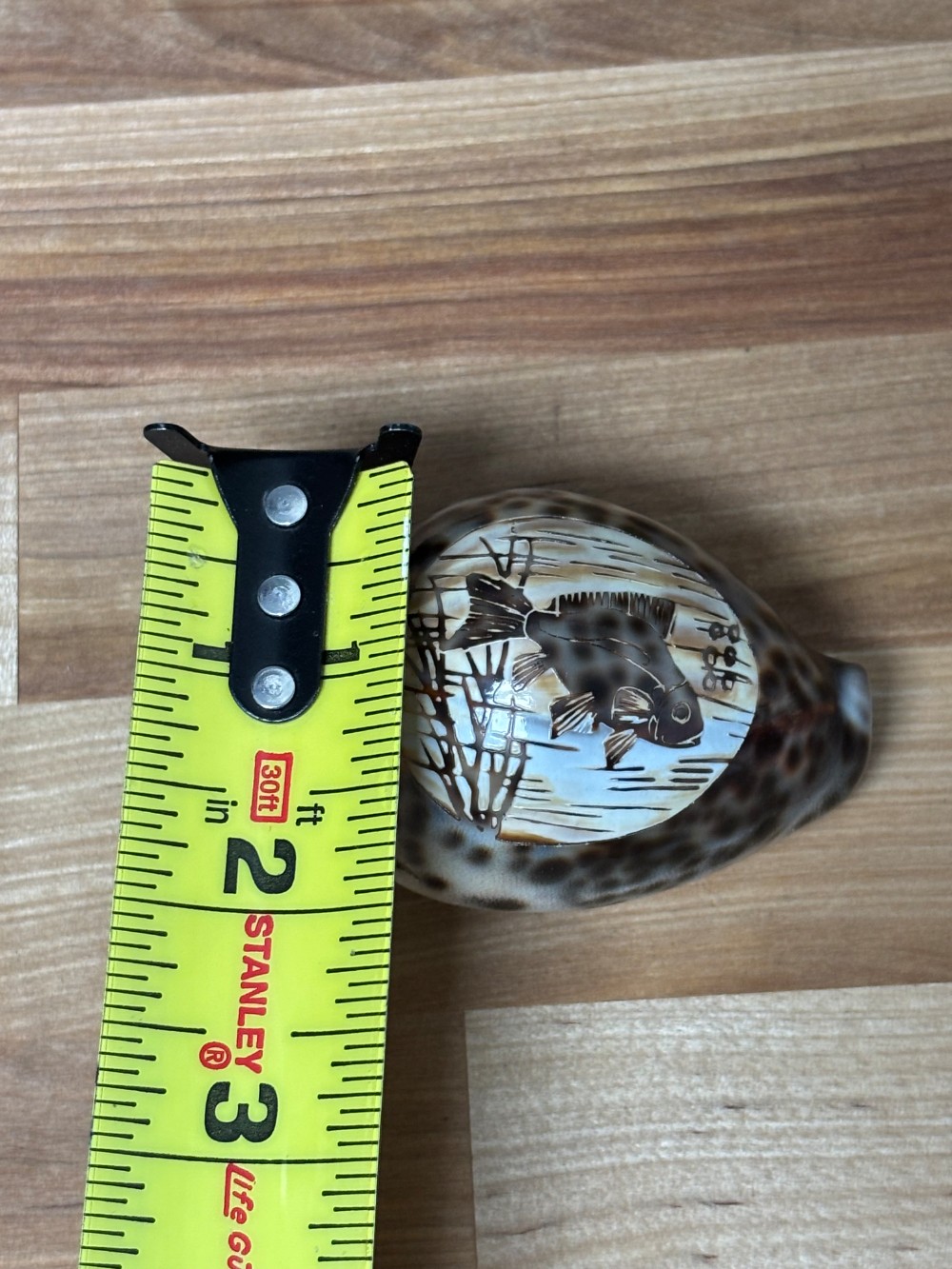 Hand Carved Cowrie Shell Fish Scene Souvenir Made in India