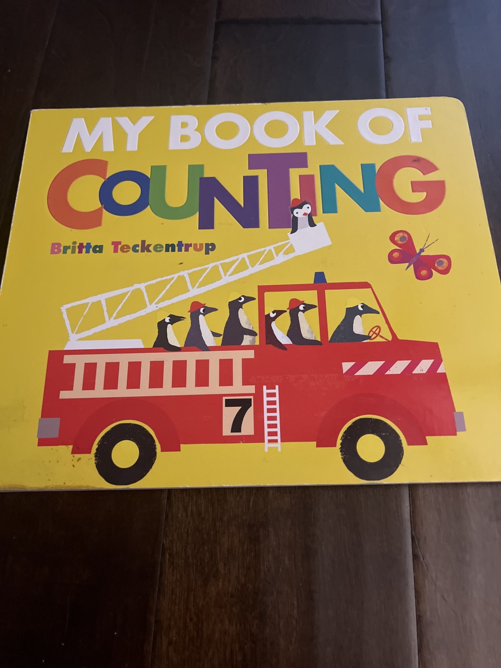 My book of counting