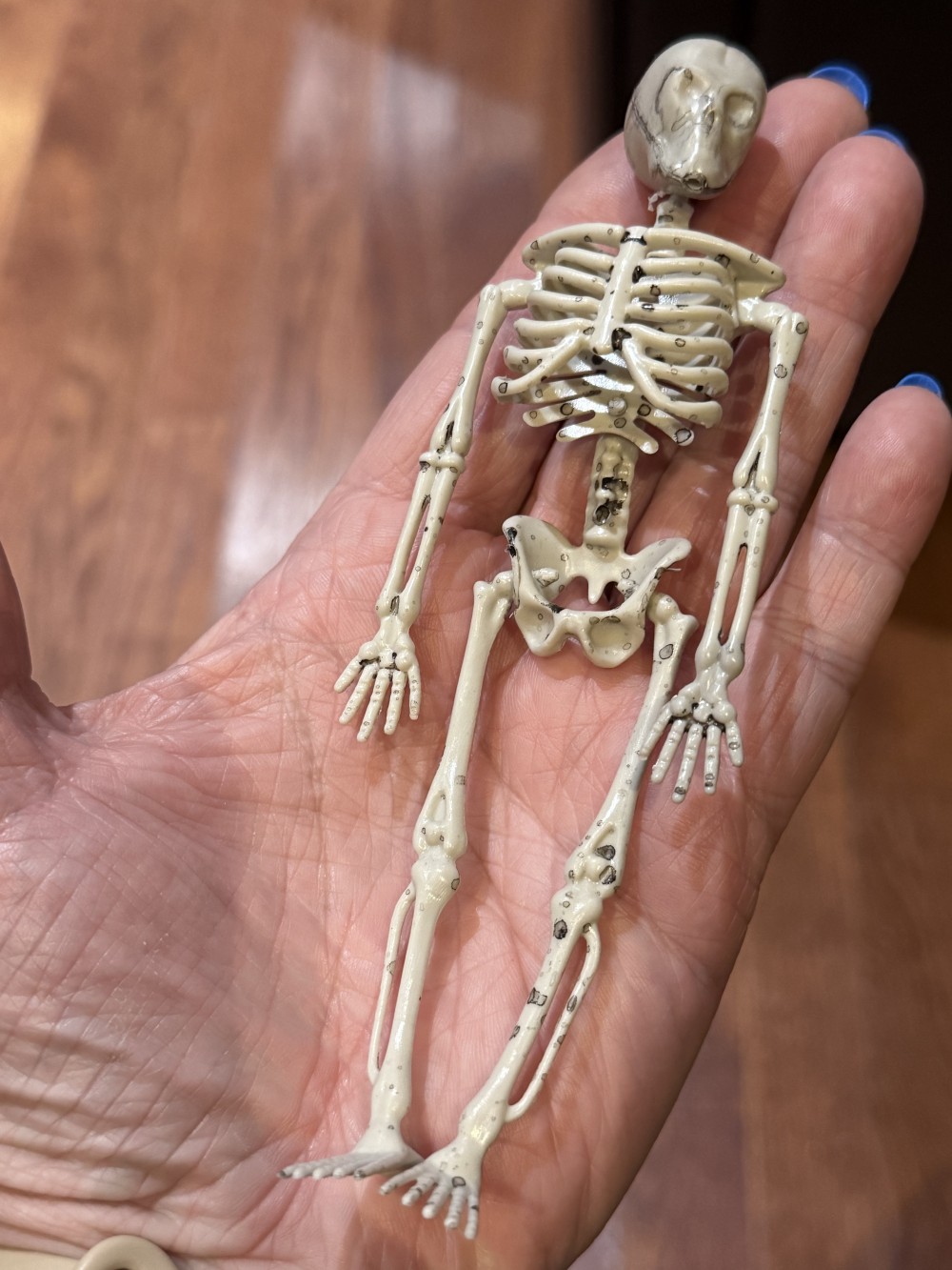 Earrings - Large Full Skeletons Moveable