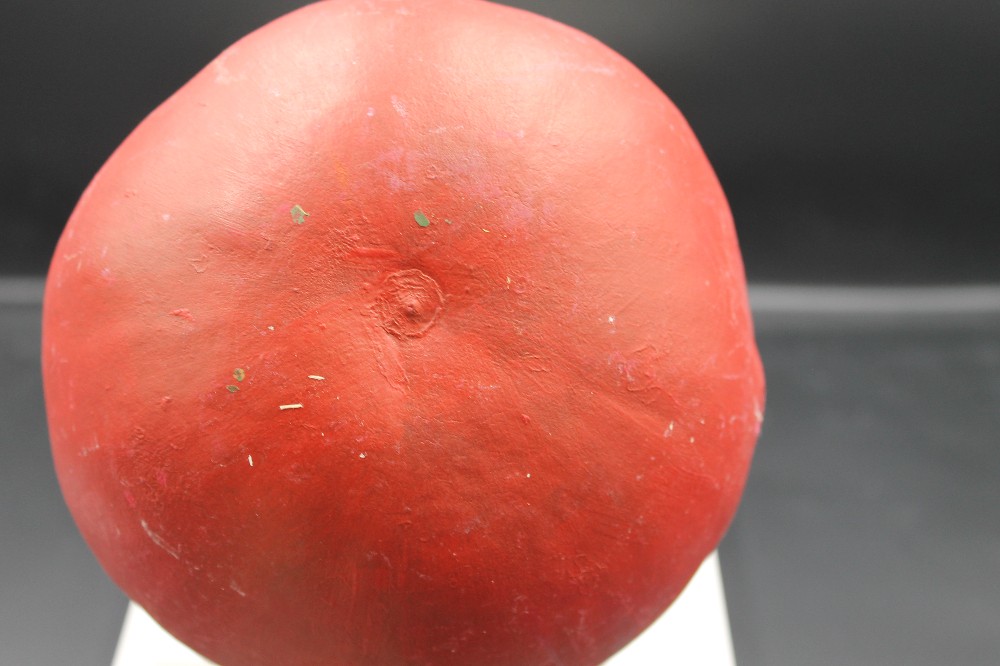 Apple gourd birdhouse
