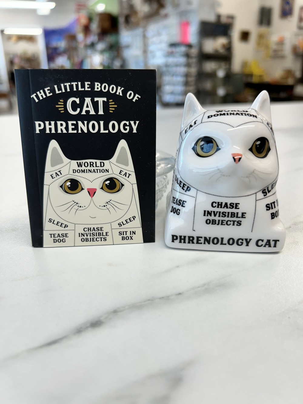 Phrenology Cat