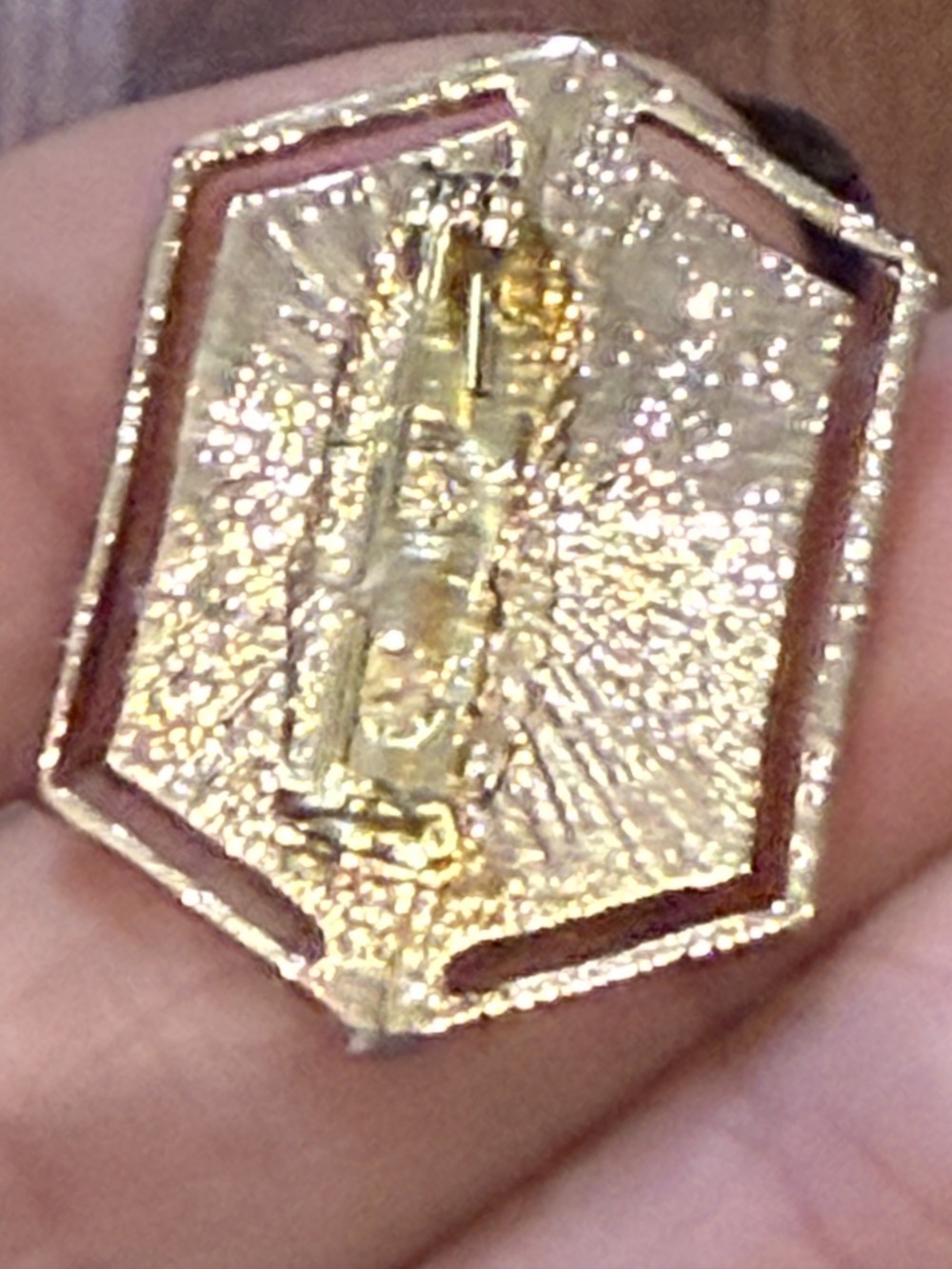Brooch Pin - Gold Medallion with Snakes and Skulls, Serpent