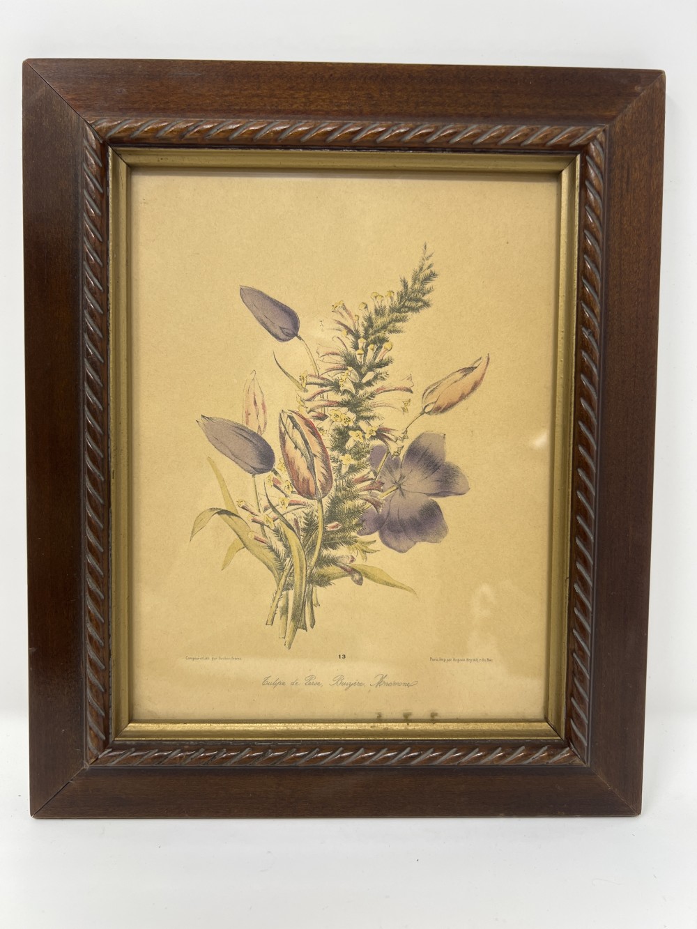 Vtg Framed Botanical Persian Lithograph