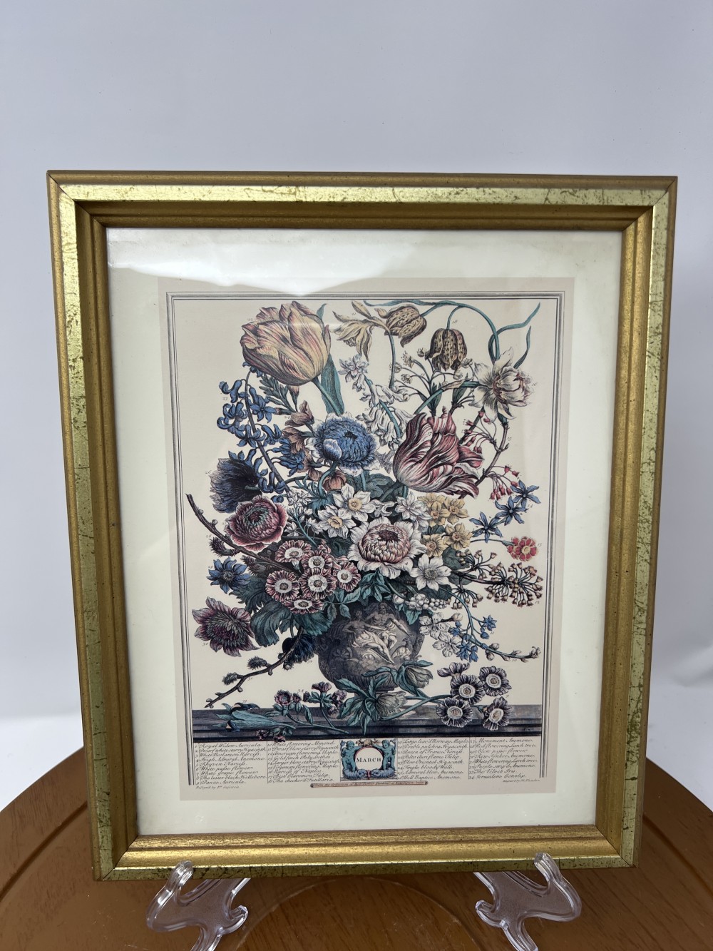 Framed botanical print — “March” from Twelve Months of Flowers