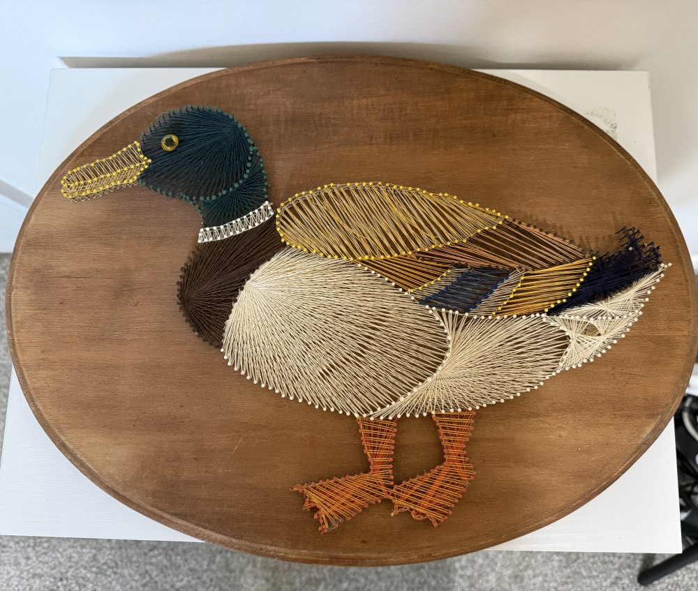 Vintage duck string art