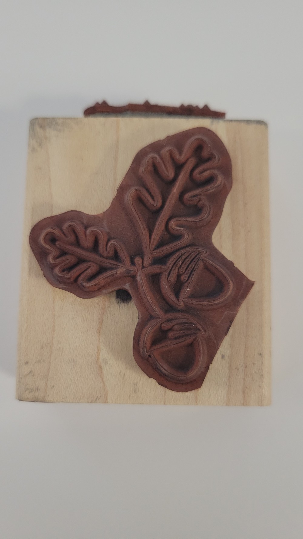 Acorn & Thank You Stamp