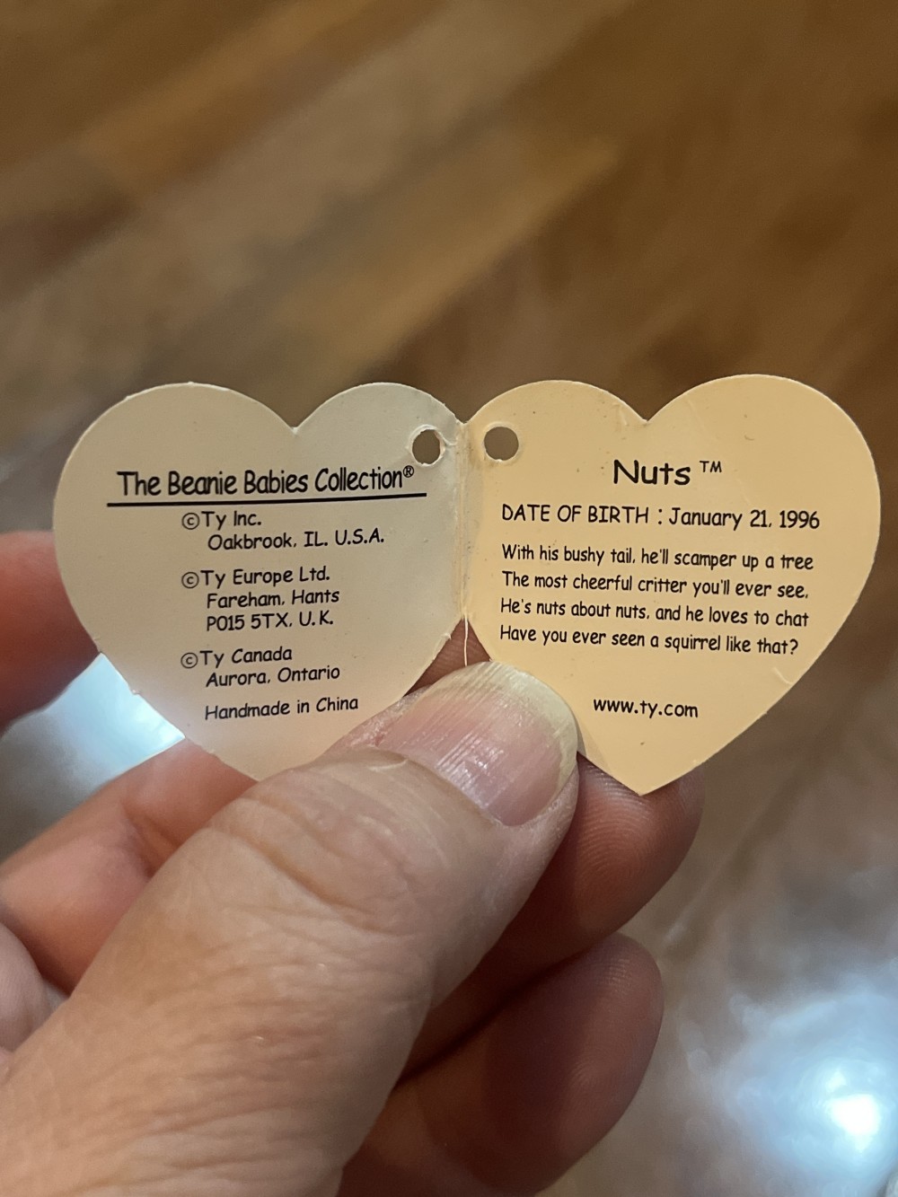 Nuts Beanie Baby