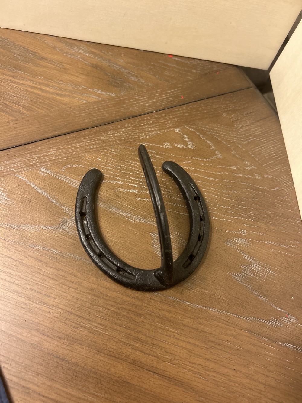 Cast Iron Horseshoe Wall Hook