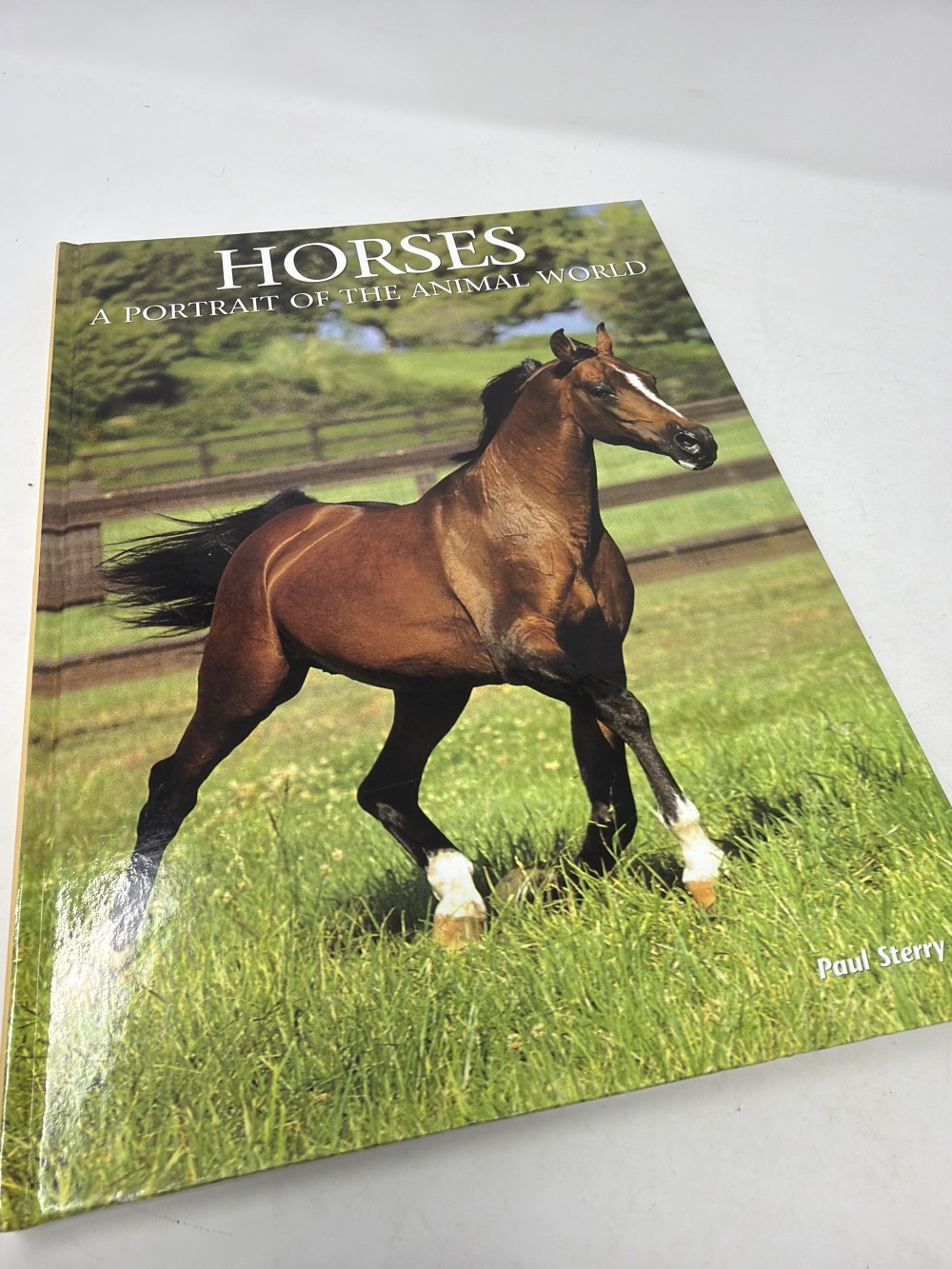 Horses: A Portrait of the Animal World