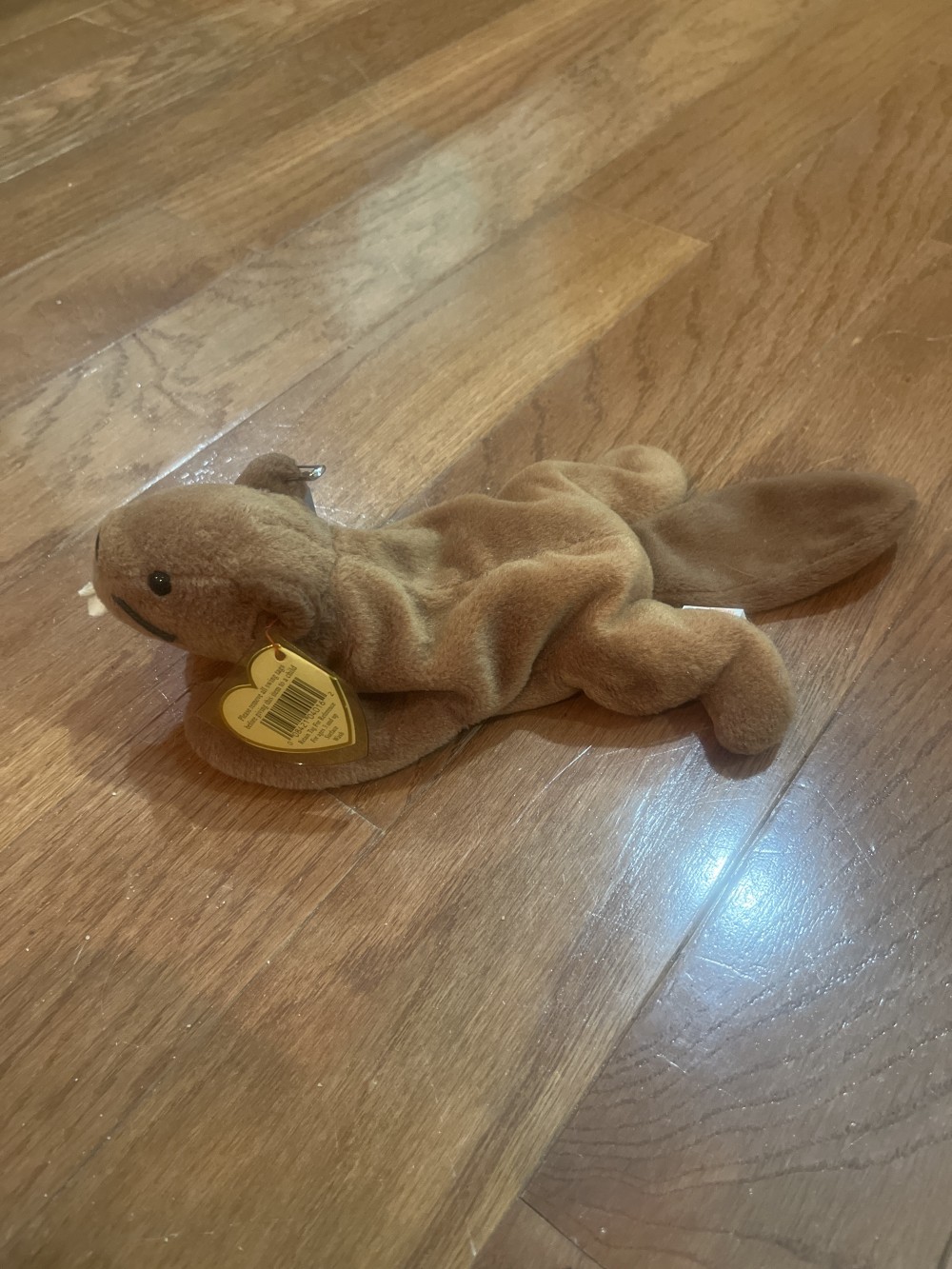 Bucky Beanie Baby