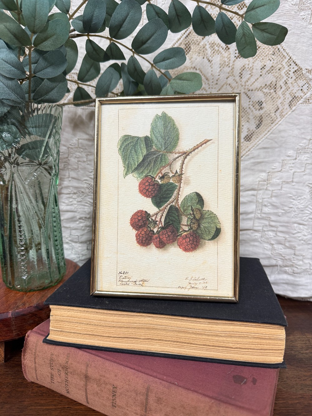 Vintage Botanical Raspberry Watercolor Print | 5x7 Framed