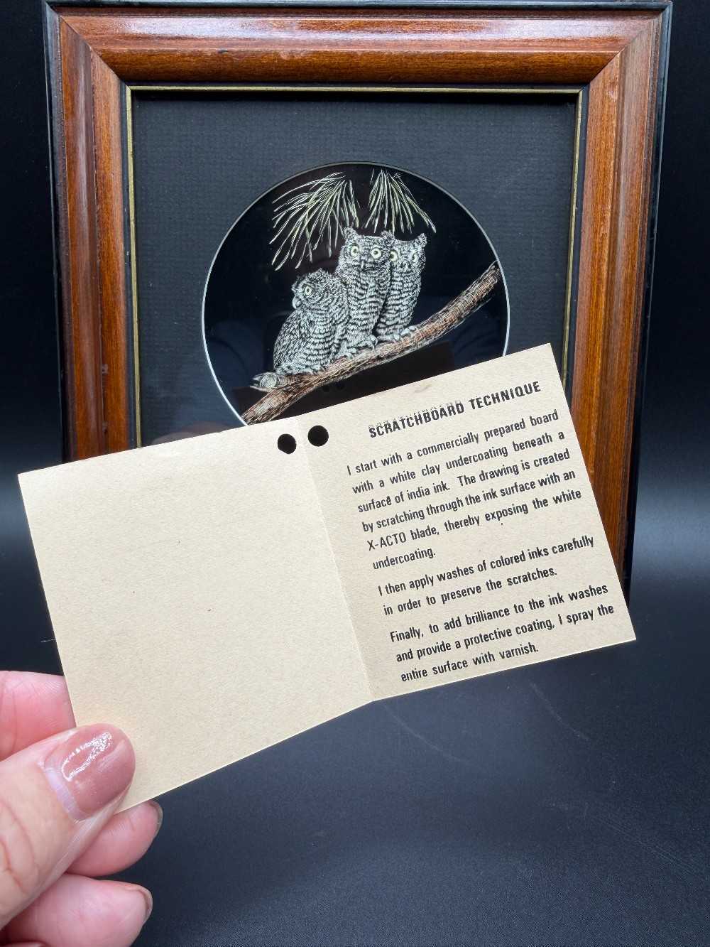 Vintage 1967 Original Owl Family Scratchboard Art by John Shaw – Framed Wildlife Engraving