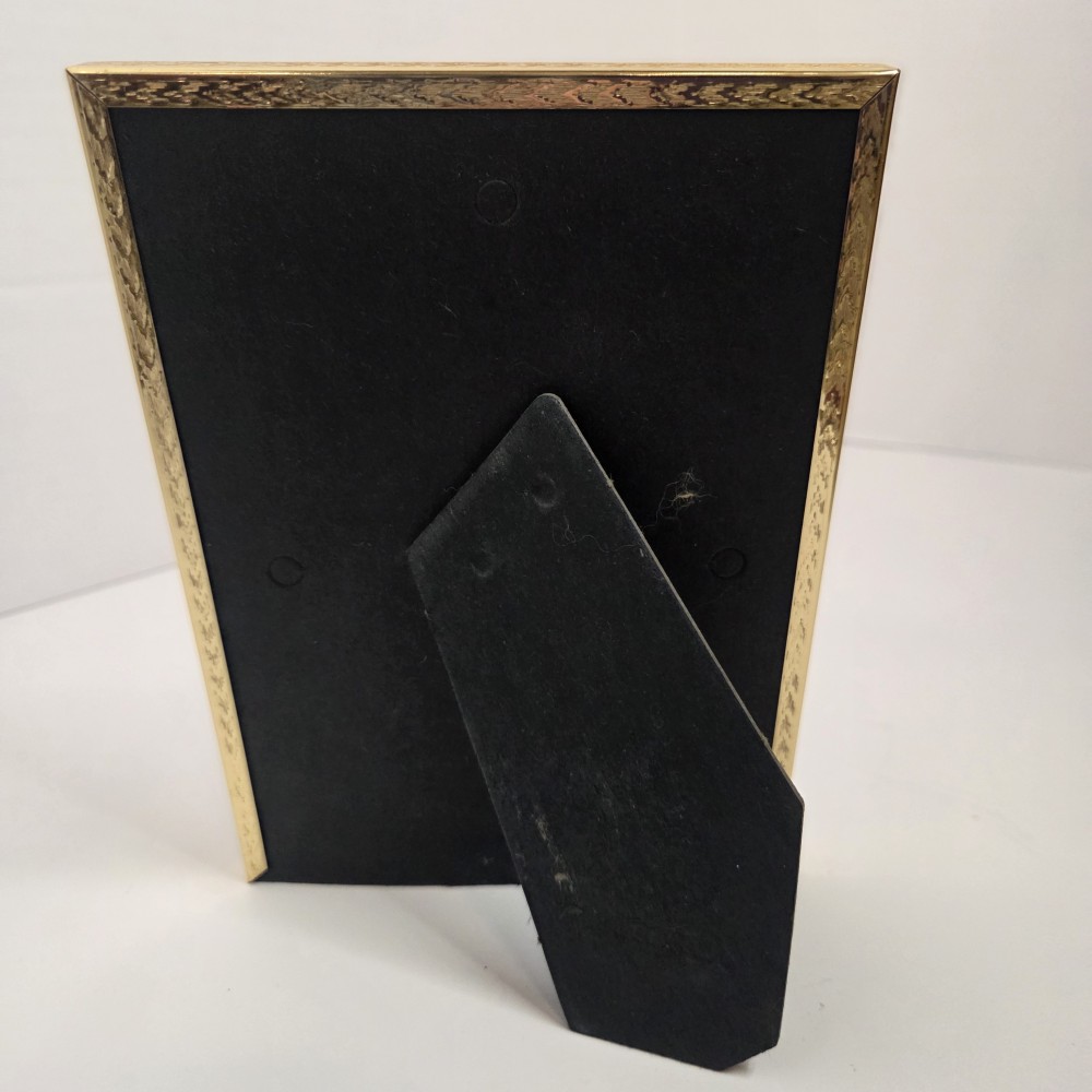 Vintage 5x7 Brass Frame w/ Mtn Scene
