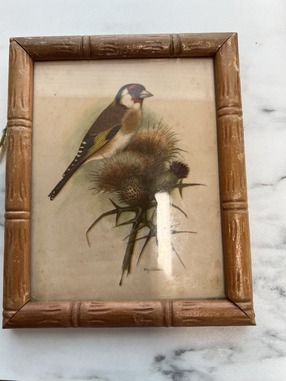 Vintage PH Gonner Bird Print
