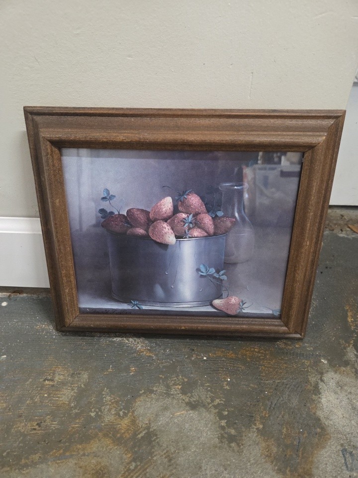 Vintage Donald. F. Allen Framed Print