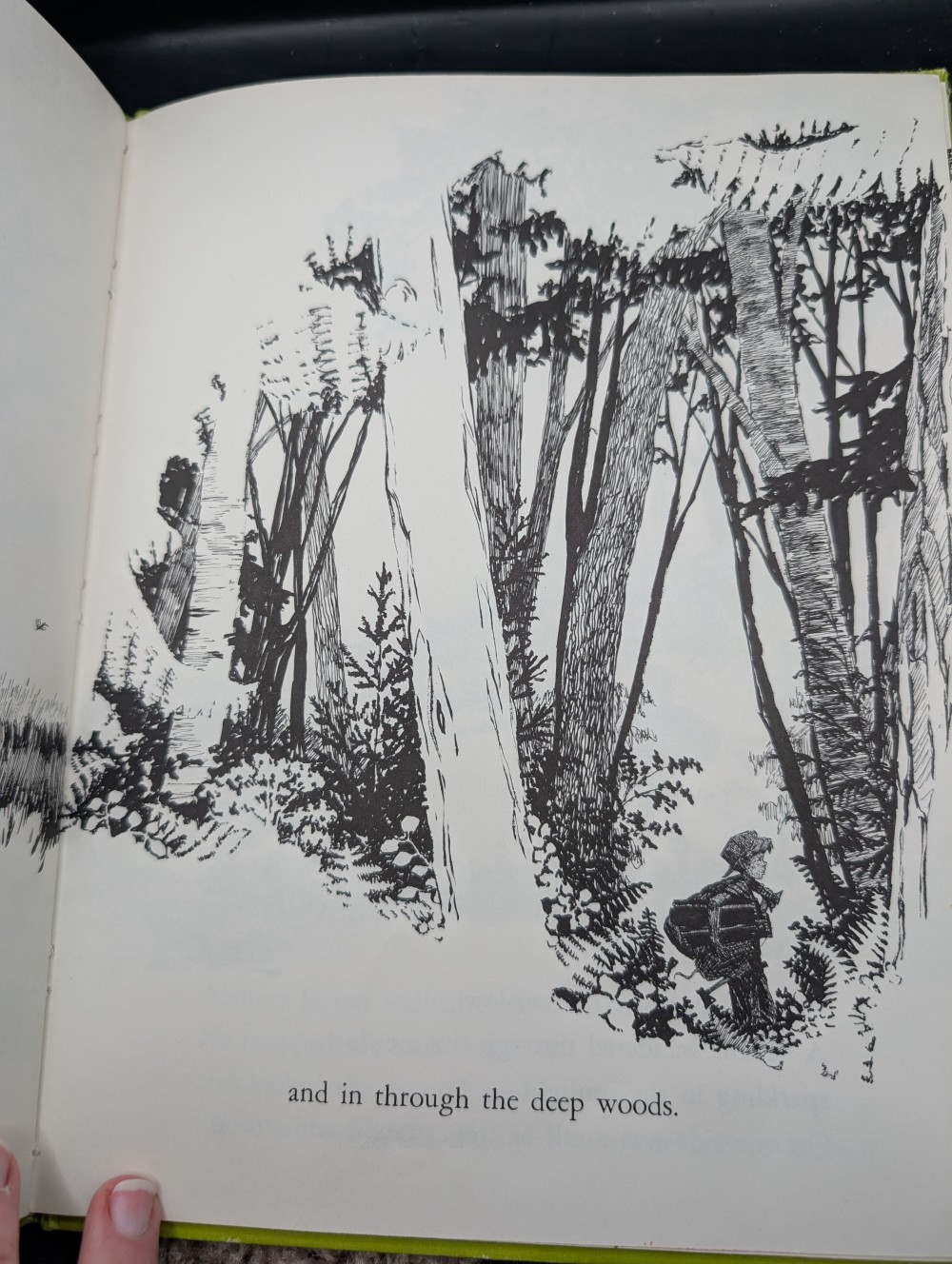 Vtg 1965 Andrew Henry's Meadow Children's Book Club Edition