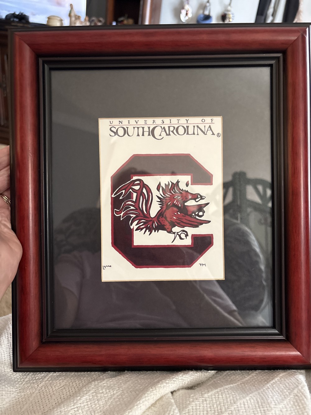 USC Gamecock Framed Picture