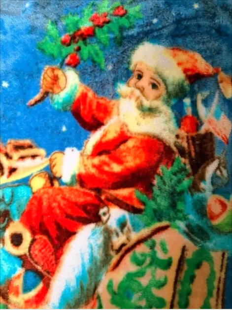 The Northwest Company - Warm Wishes Santa Sleigh Fleece Throw Blanket