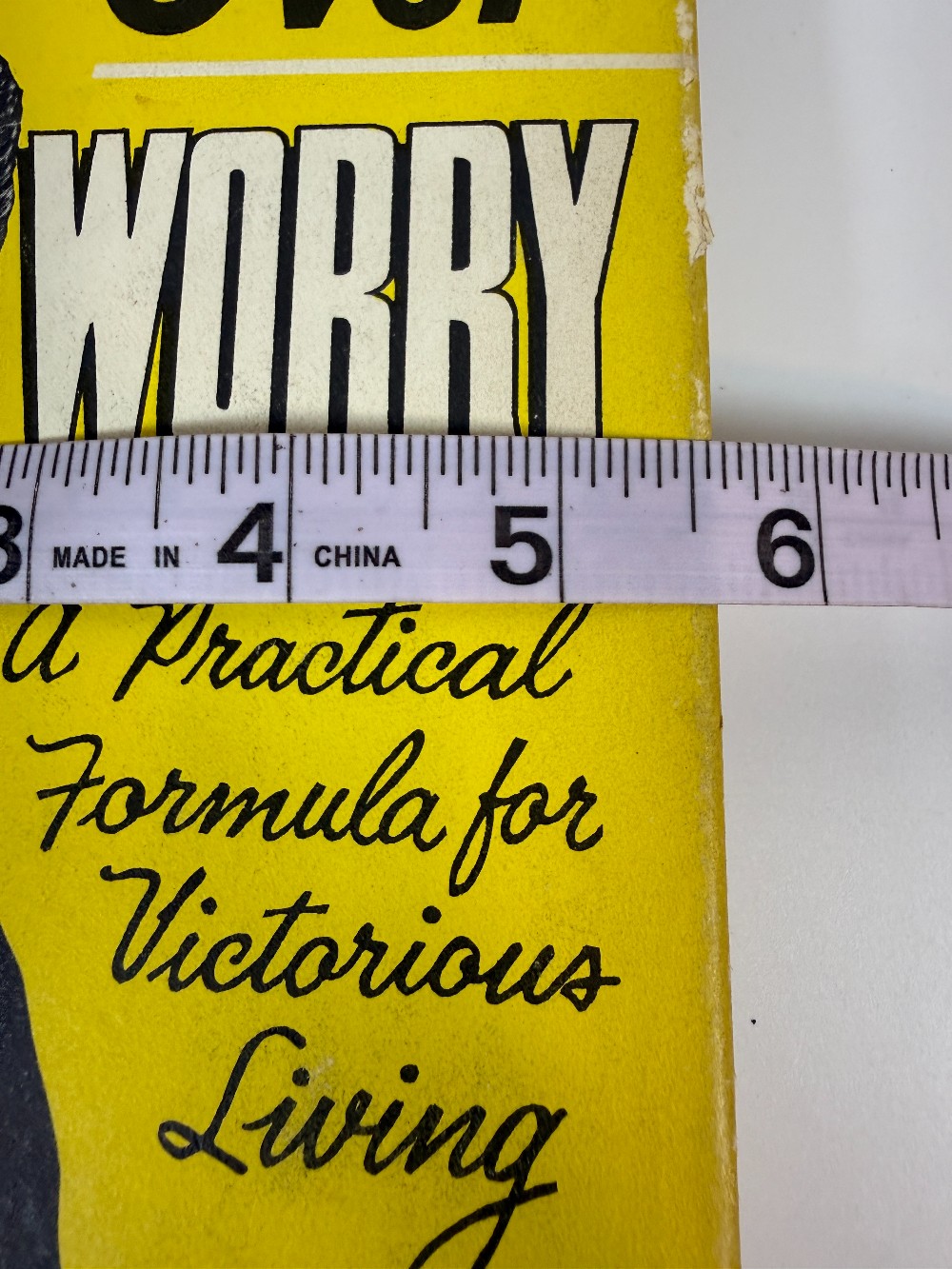 How to Win Over Worry Book