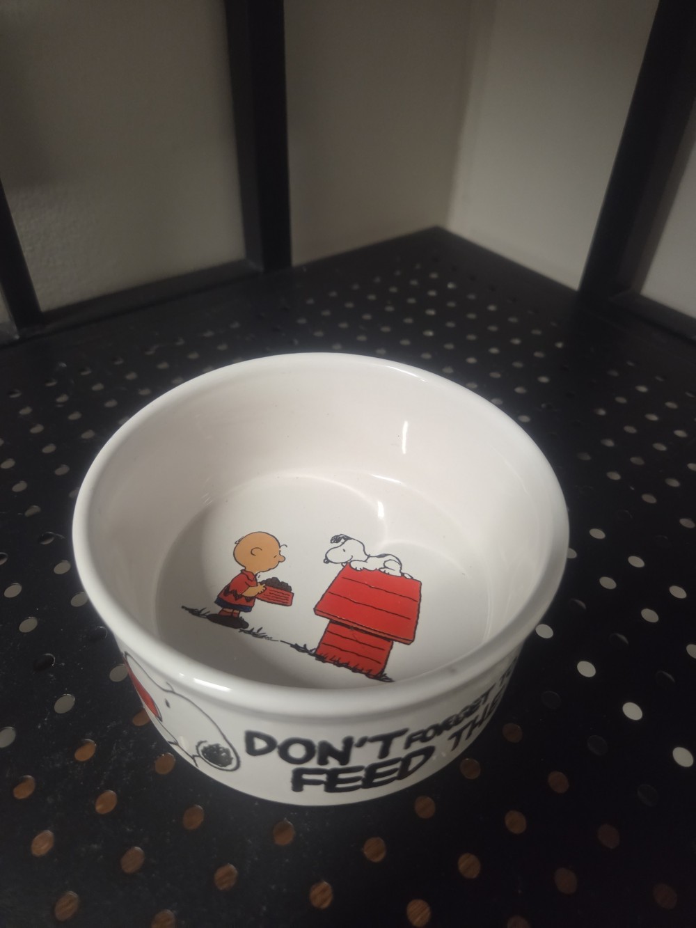 Snoopy Ceramic Dog Dish 5