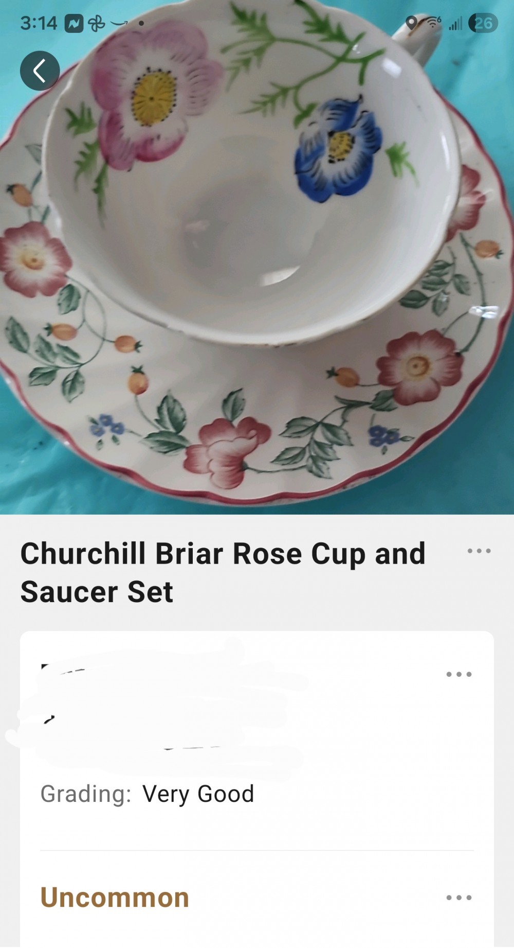 Churchill Briar rose cup and saucer
