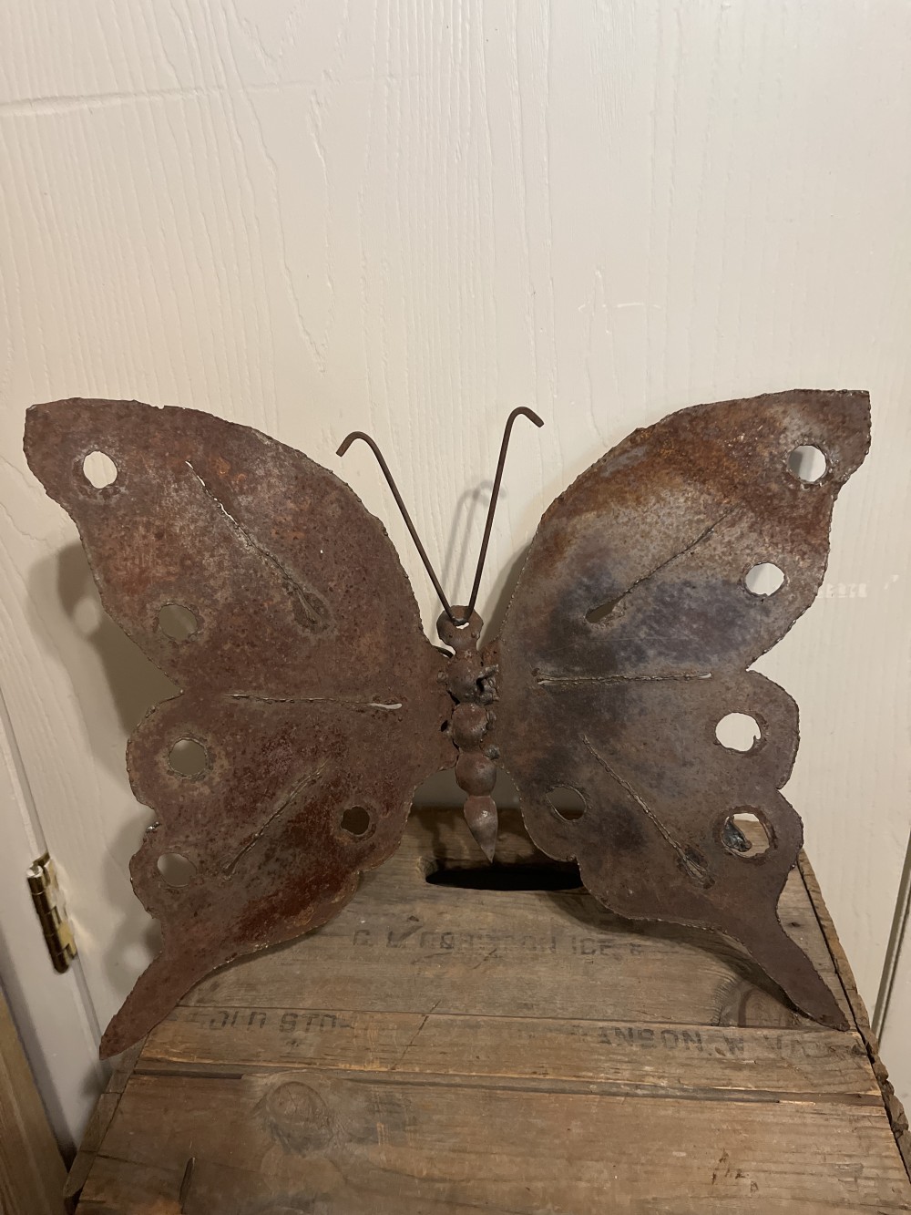 Rusty garden butterfly