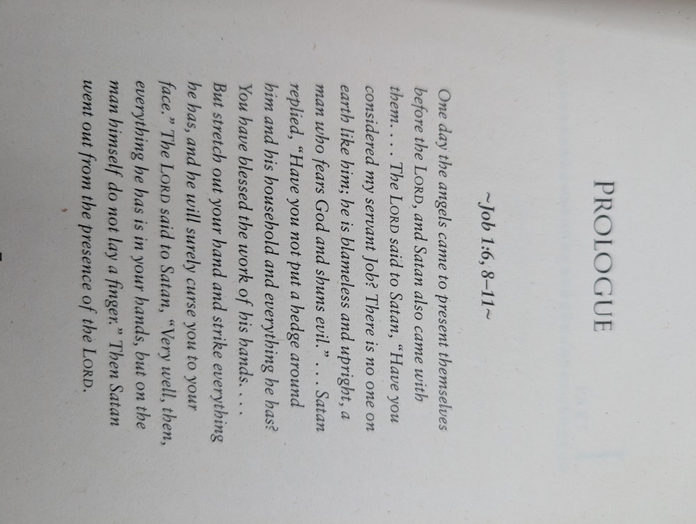 Love Amid the Ashes paperback book
