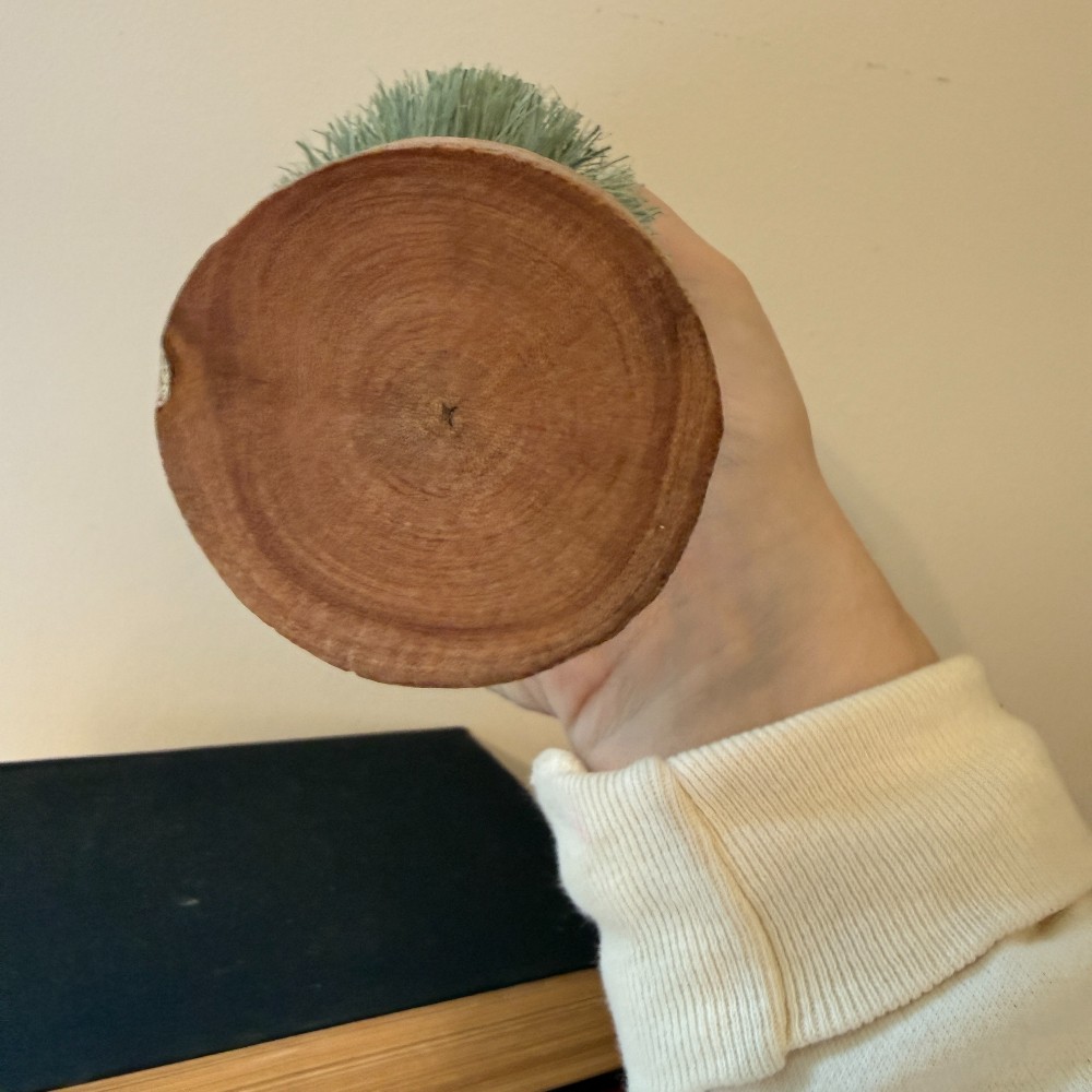 Decorative Bottle Brush Tree on Wood Base
