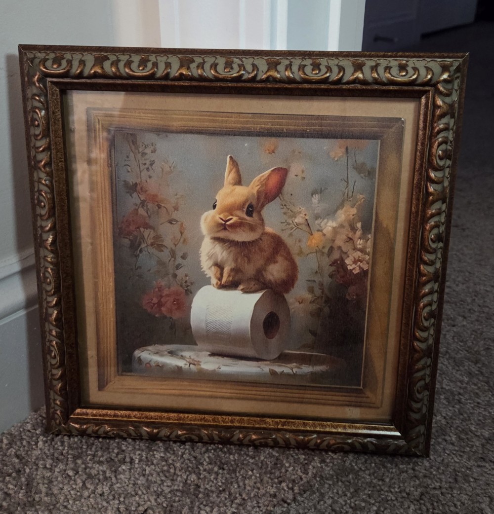 Bunny on Toilet Tissue in VTG Frame