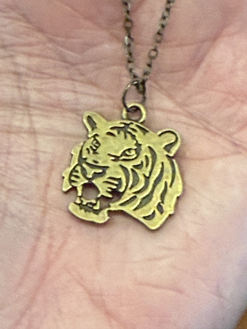 Pendant Necklace - Tiger Face In Bronze, Clemson, LSU