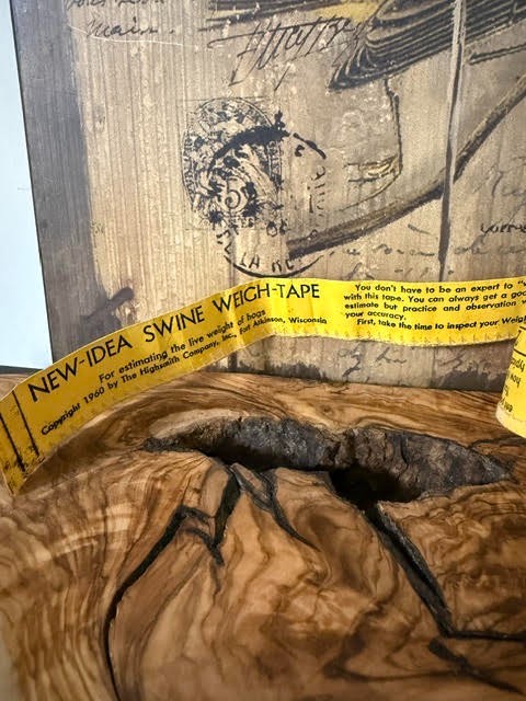 1960 Farm Hog Tape Measure Pig Swine Boar Sow Farmer