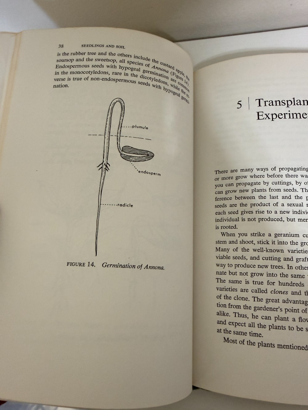 Seedlings and Soil Book